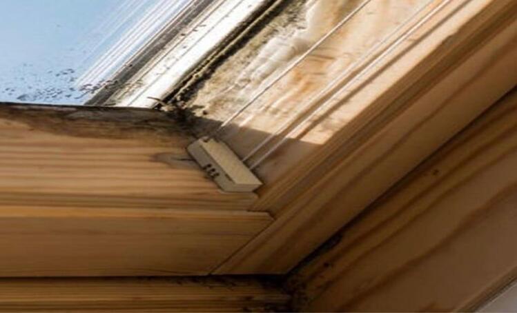 reparation-velux-renovation-home-habitat