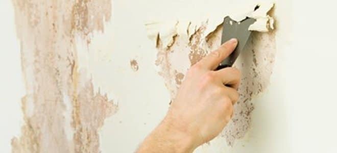 decapage-facade-renovation-home-habitat