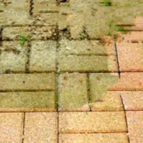 demoussage terrasse